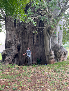 A man stands in front of a giant baobab tree