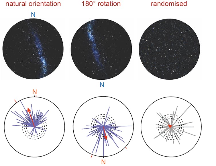 Diagram showing different star patterns and directions of moth movement.