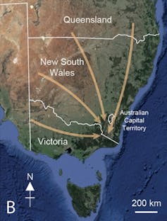 Map of southeast Australia showing arrows from western Victoria, northwest NSW, and southern Queensland leading to the mountains in the southeast.