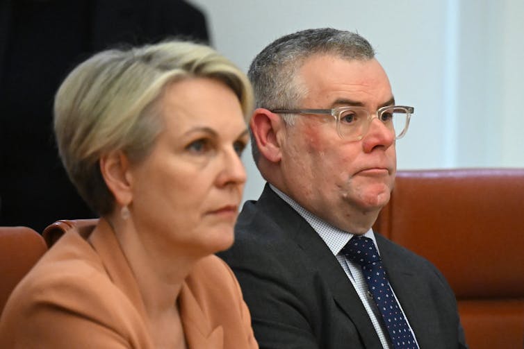 Tanya Plibersek and Murray Watt sitting side by side