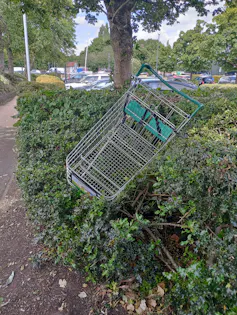 A shopping trolley wedged in a hedge.