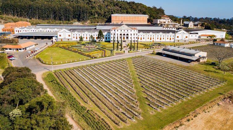 Brazil, Wine Laboratory Day after today 2 Wai de la Salton Valley