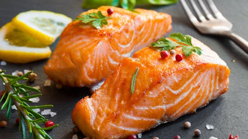 Kandungan nutrisi ikan salmon budi daya turun drastis