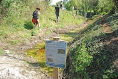 Excursion de France 2025: When herbal reserves happen on polluted places 3 file 20250620 62 5xu5rb.jpg?ixlib=rb 4.1