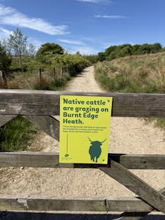 yellow sign on wooden gate, sign says native cattle grazing on heath