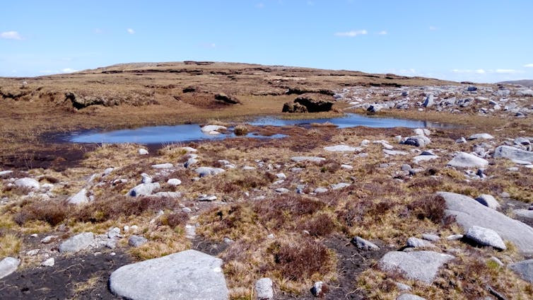 Upland habitat with exposed peat and areas of rock.