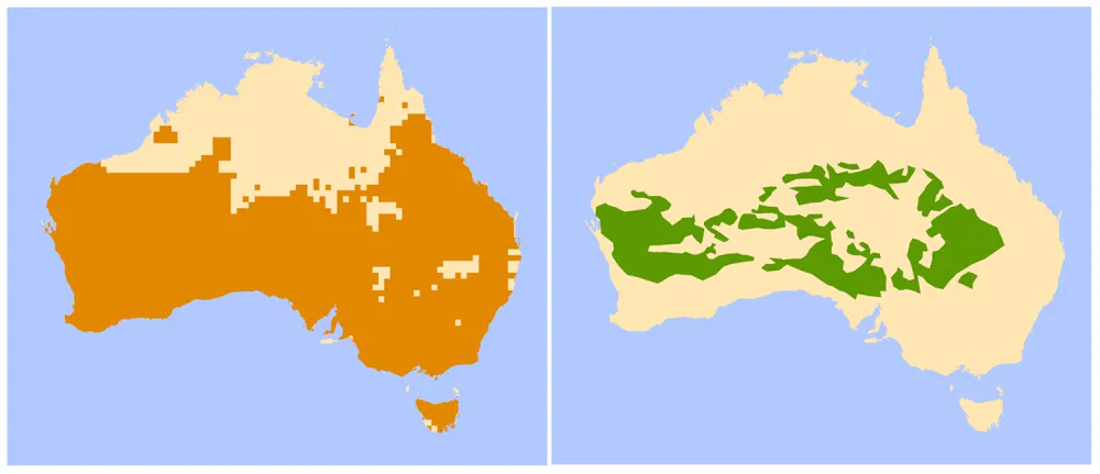 Wild Rabbit Distribution Map The rabbits of Christmas past: a present that backfired for Australia