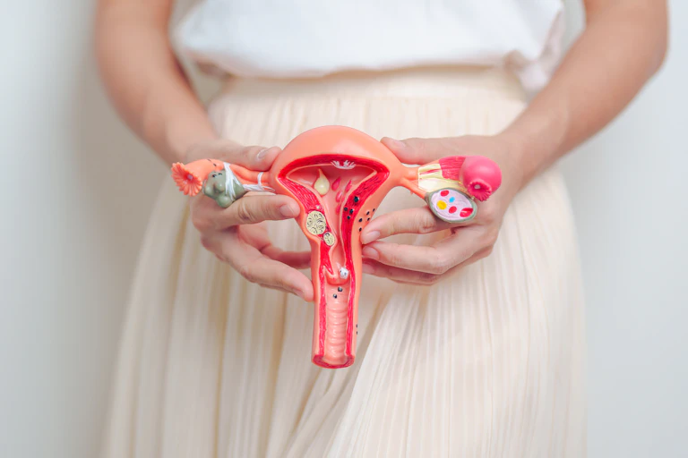 A woman holding a model of a uterus and ovaries.