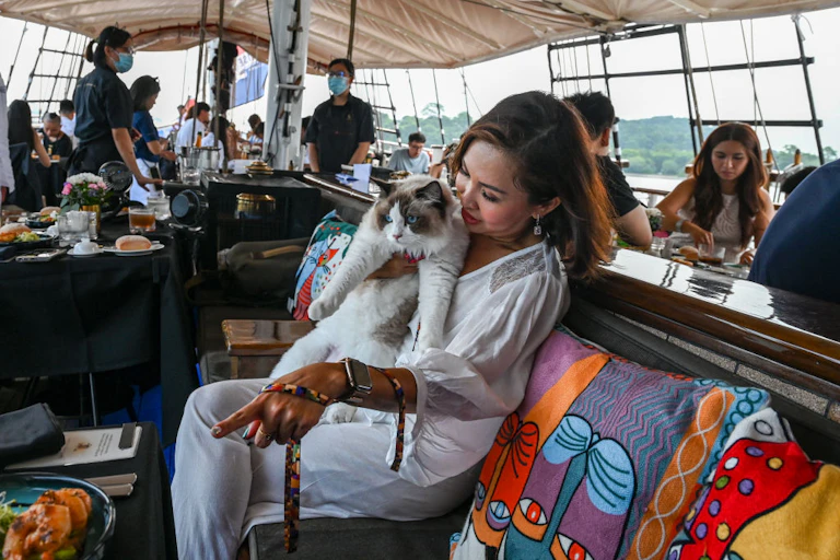 Woman on luxury boat holds a cat.