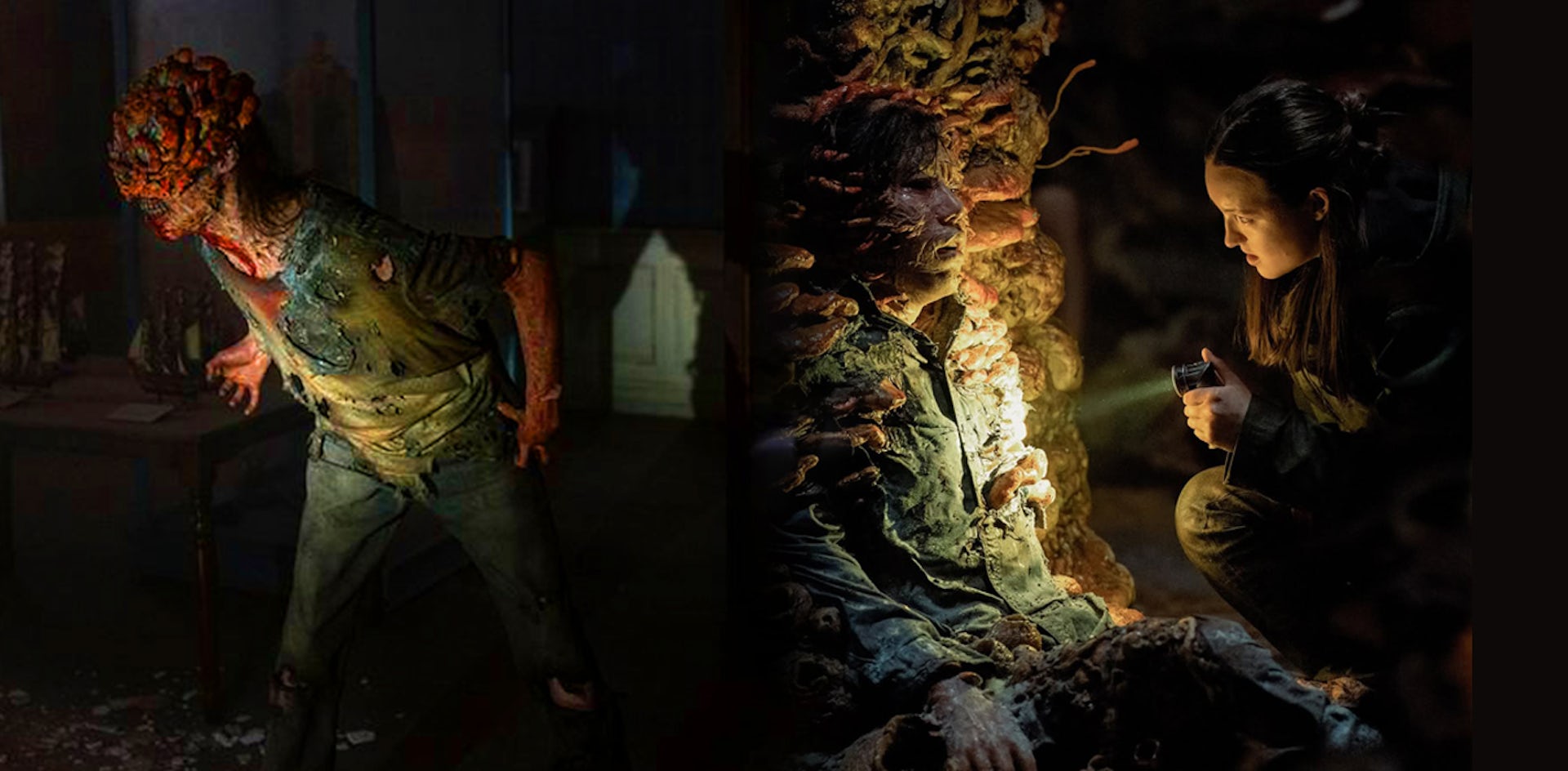 Jamur yang menginfeksi manusia dalam series The Last of Us