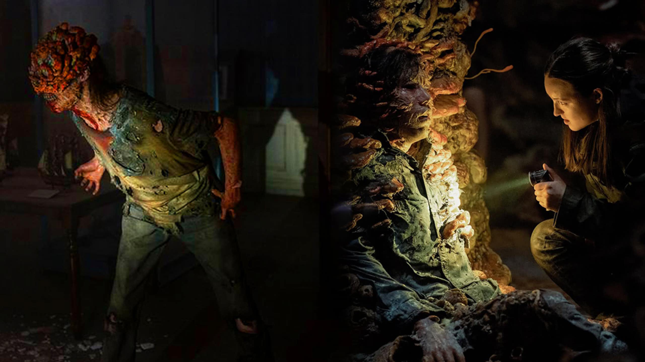 Jamur yang menginfeksi manusia dalam series The Last of Us