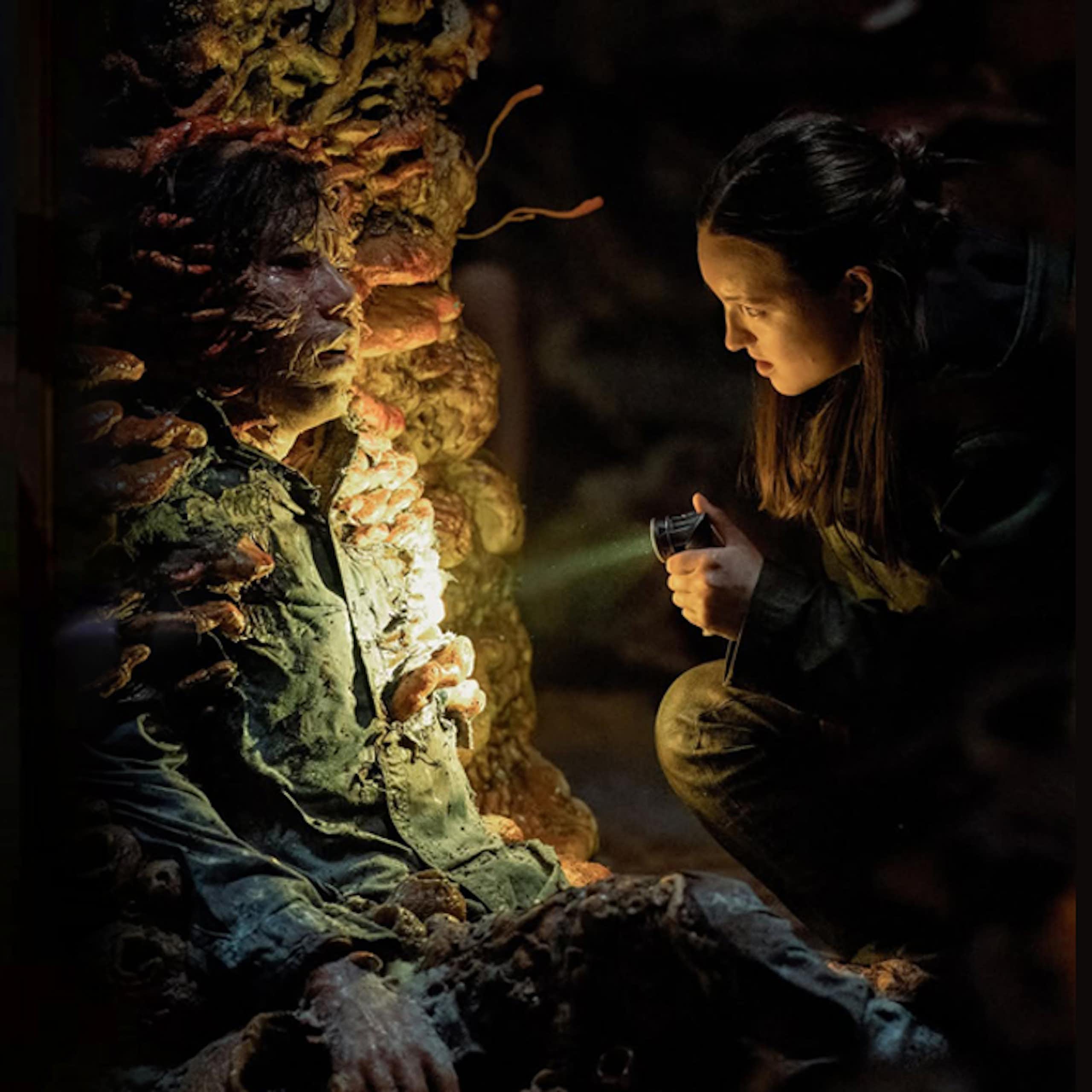 Jamur yang menginfeksi manusia dalam series The Last of Us