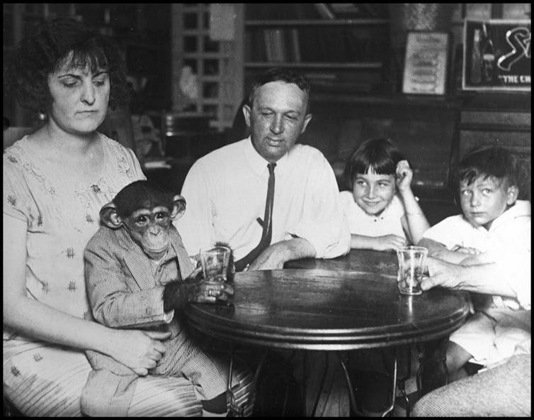 A woman sits at a round table with a man and two children, as a chimpanzee in a suit sits in her lap.