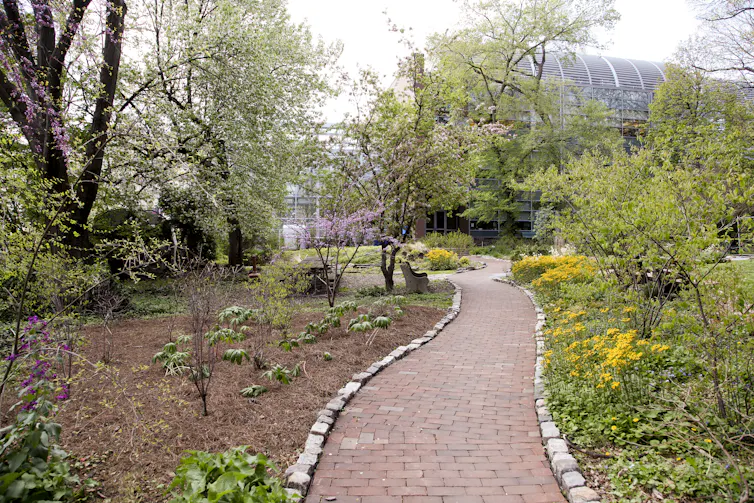 A stone-lined brick path extends through a nicely landscaped outdoor garden area.