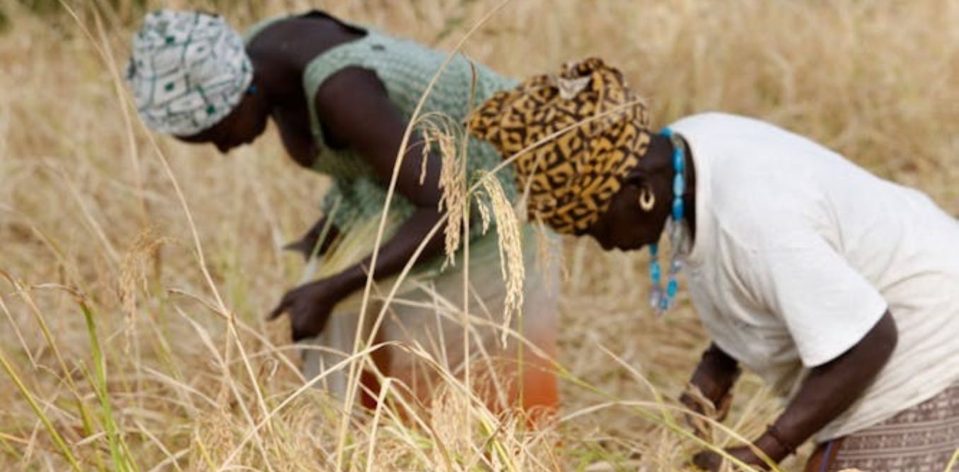Changement climatique : miser sur les femmes entrepreneures africaines est un pari gagnant