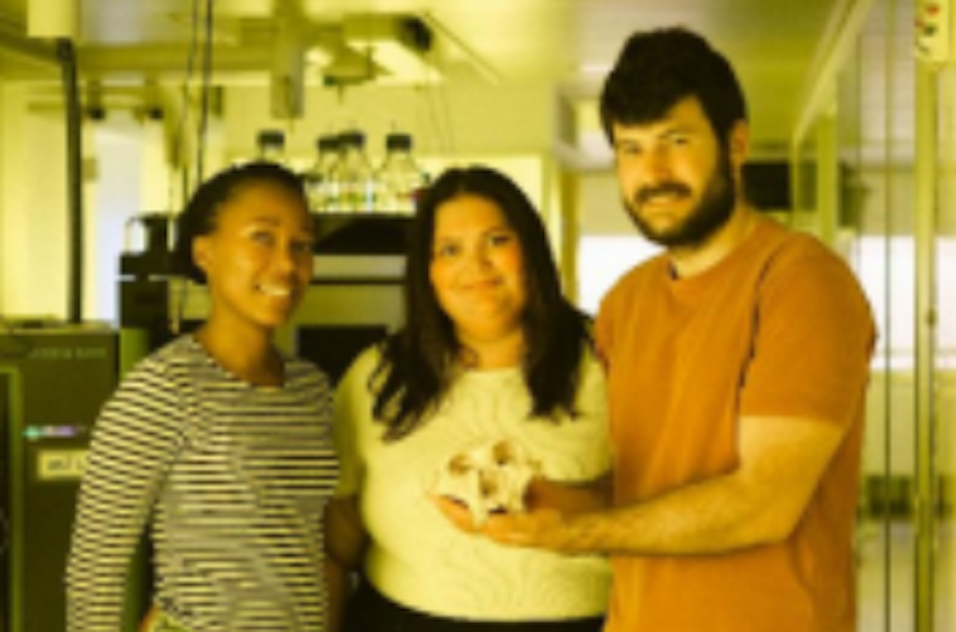 Three people stand in a laboratory holding a replica of a skull that looks human like