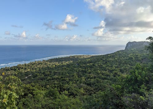 Remote cave discovery shows ancient voyagers brought rice across 2,300km of Pacific Ocean