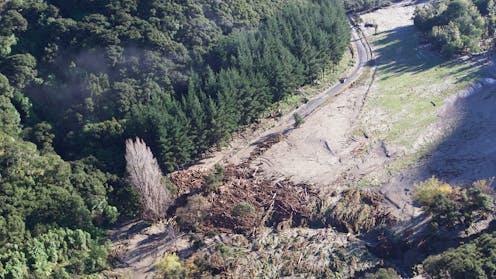 why proposed changes to forestry rules won’t solve the ‘slash’ problem