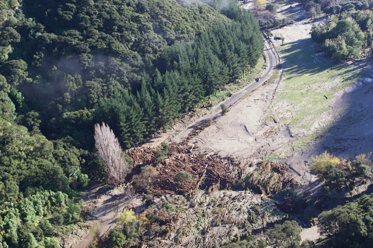 A forestry log jam blocking a road