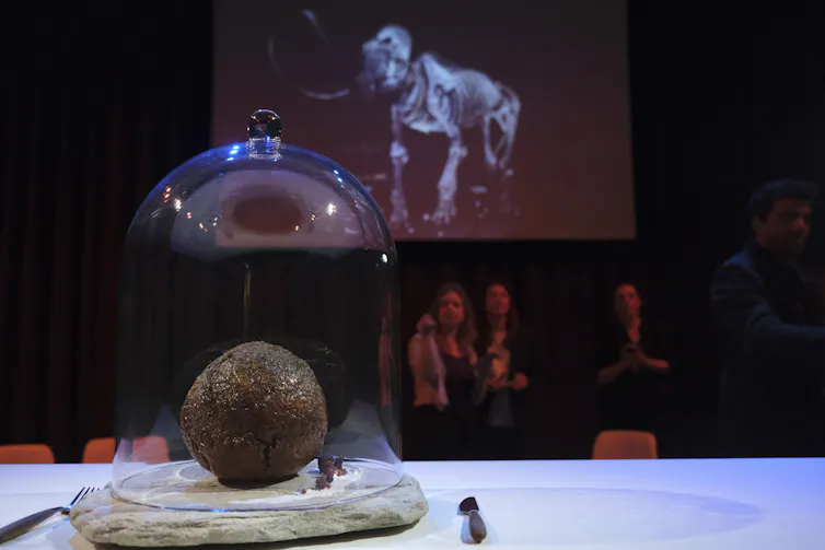a meatball plated under a glass dome