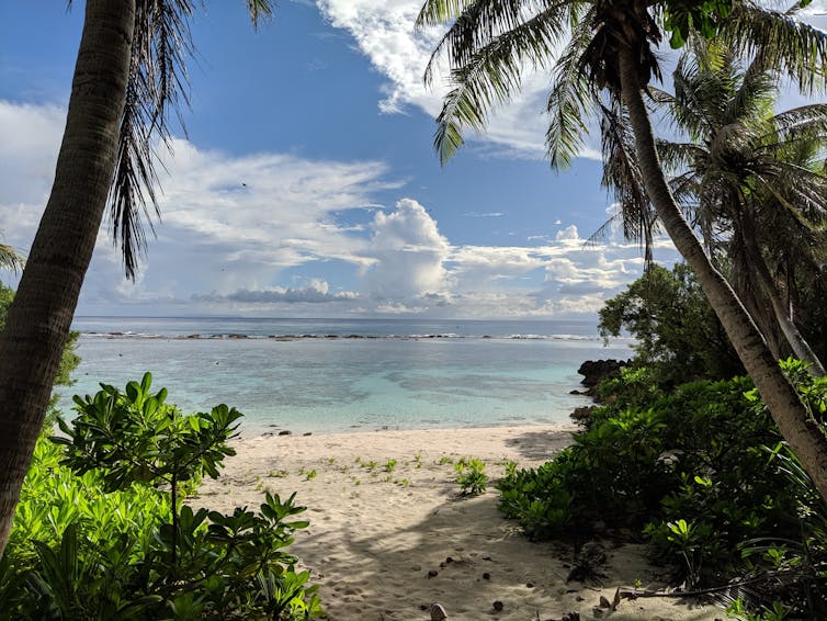 A beach on a tropical island.