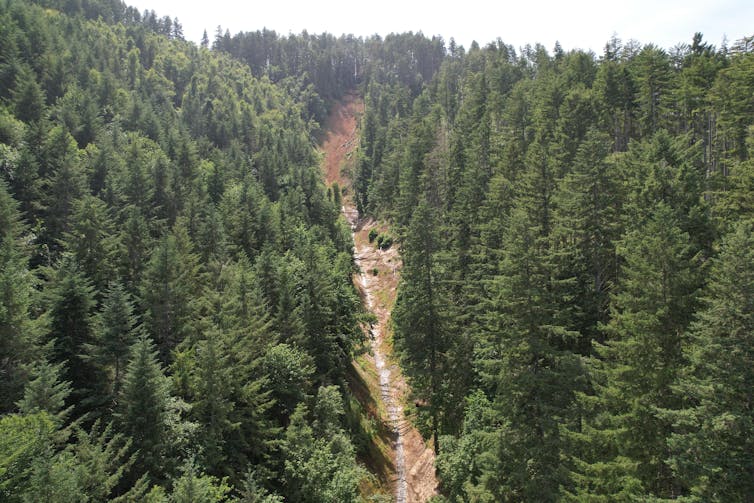 El huracán Helena ha establecido desastres futuros, desde deslizamientos de tierra hasta peligros en cascada como estos ahora en relación con los modelos de riesgo 2 Mire la cantidad de aire del río con el testimonio del deslizamiento de tierra. Los árboles rotos parecen dispersos el grifo dental y el flujo del río está parcialmente bloqueado.