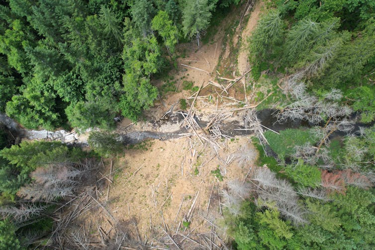 El huracán Helena ha establecido desastres futuros, desde deslizamientos de tierra hasta peligros en cascada como estos ahora en relación con los modelos de riesgo 3 Mire la cantidad de aire del río con el testimonio del deslizamiento de tierra. Los árboles rotos parecen dispersos el grifo dental y el flujo del río está parcialmente bloqueado.