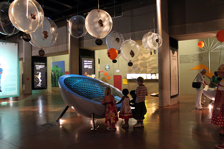 Children in an exhibition space