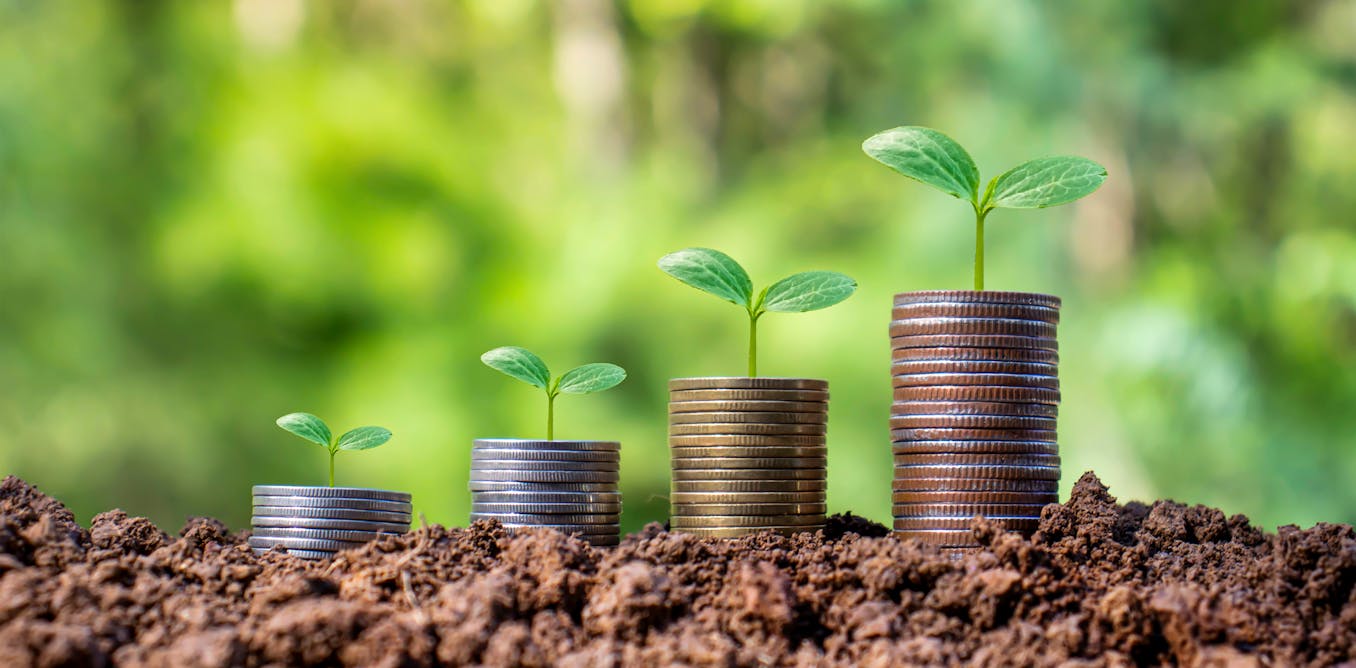 Blue Bonds: A Rising Tide in Climate Finance for Ocean Conservation