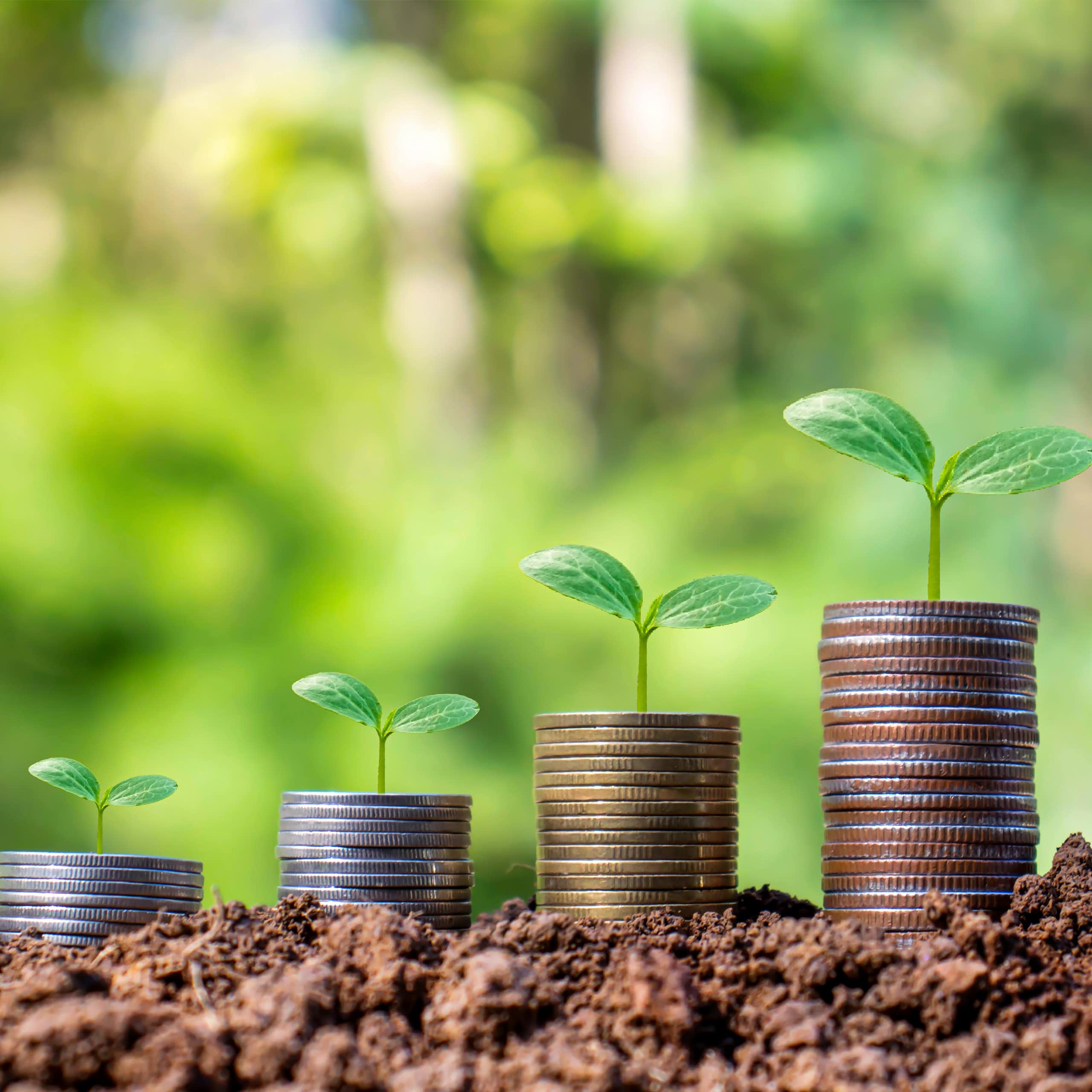 piles of coins, in soil, green plants growing on top of coins