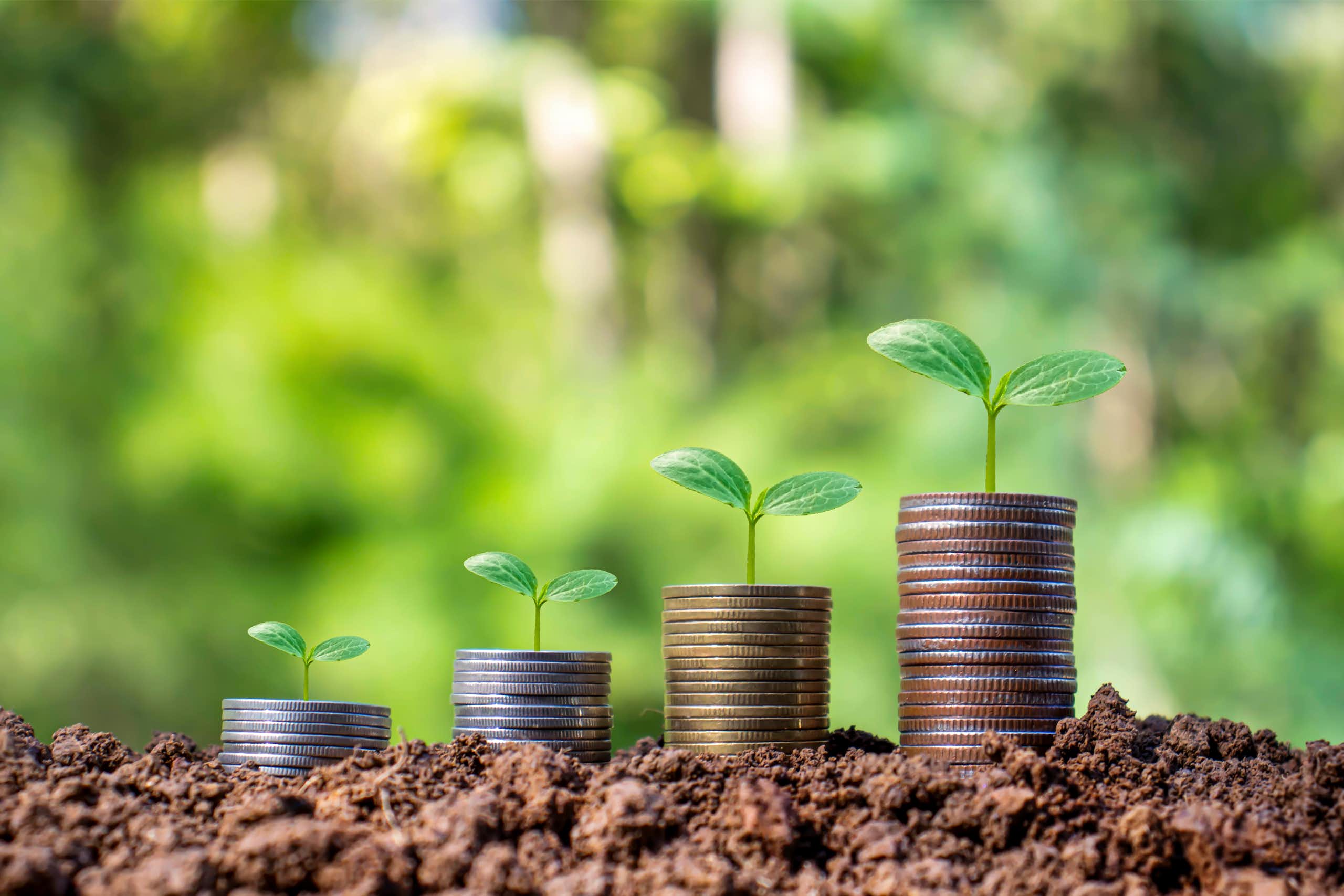 piles of coins, in soil, green plants growing on top of coins