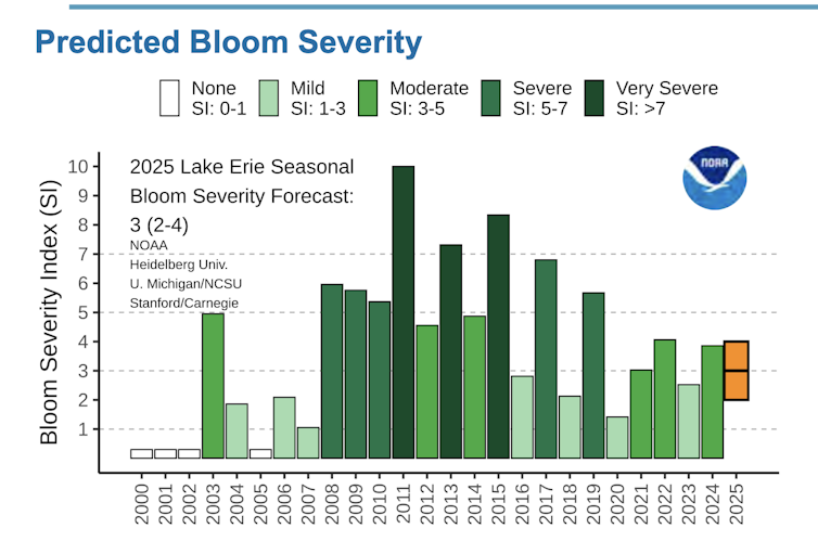 Toxic algae blooms are lasting longer in Lake Erie − why that’s a worry for people and pets – Environmental News Bits A bar chart shows 2025's forecast to be more severe than 2023 but less than 2024.