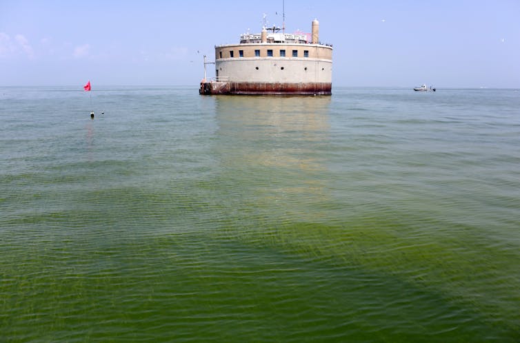 Toxic algae blooms are lasting longer in Lake Erie − why that’s a worry for people and pets – Environmental News Bits A large round structure offshore is surrounded by blue-green algae.