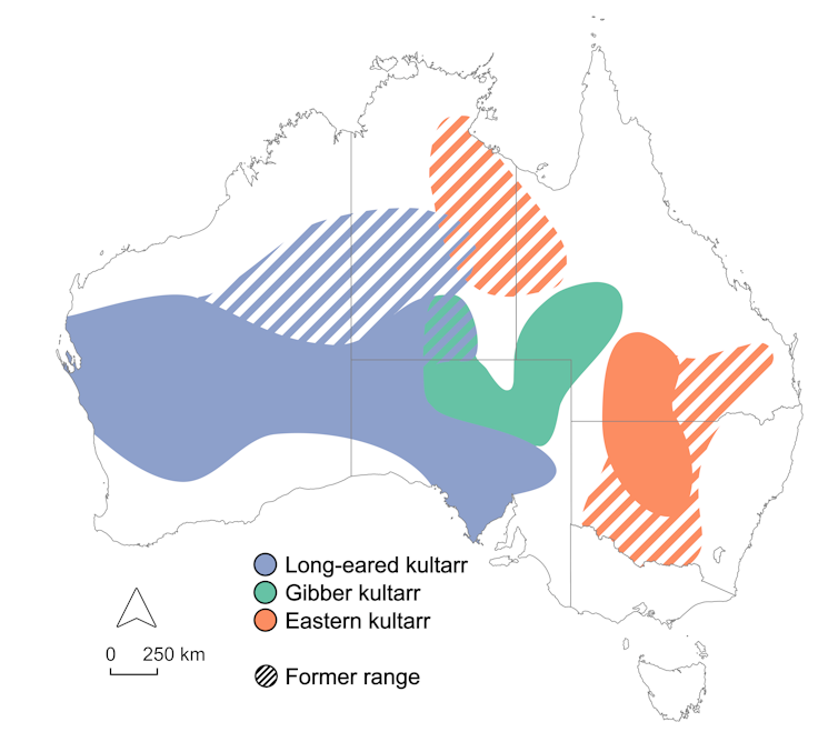 Map of Australia showing past and present ranges of the three species of kultarr.