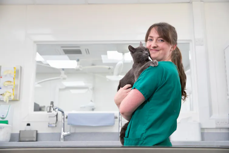 A vet holding a cat.