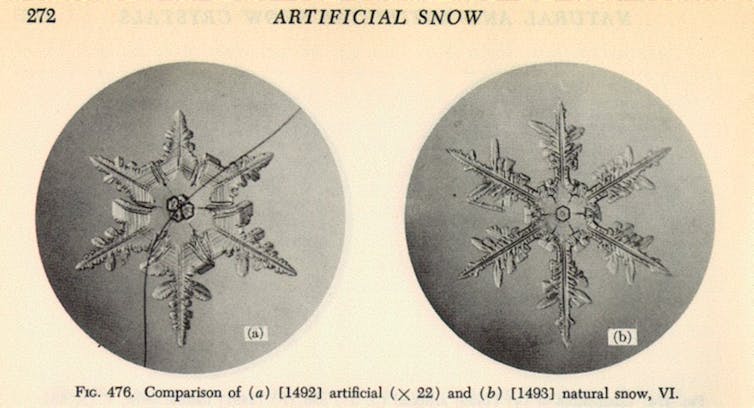 dos copos de nieve al microscopio
