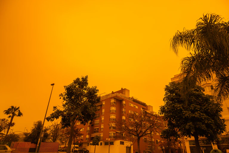 Un edificio y árboles bajo un cielo anaranjado