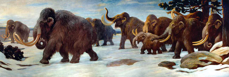 a mural of woolly mammoths