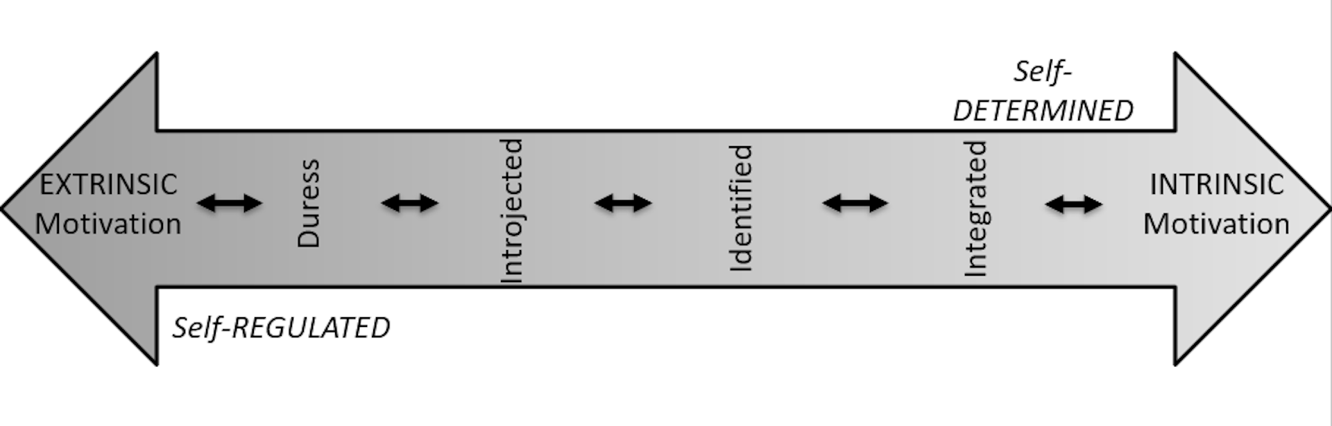 The spectrum of motivation according to SDT.