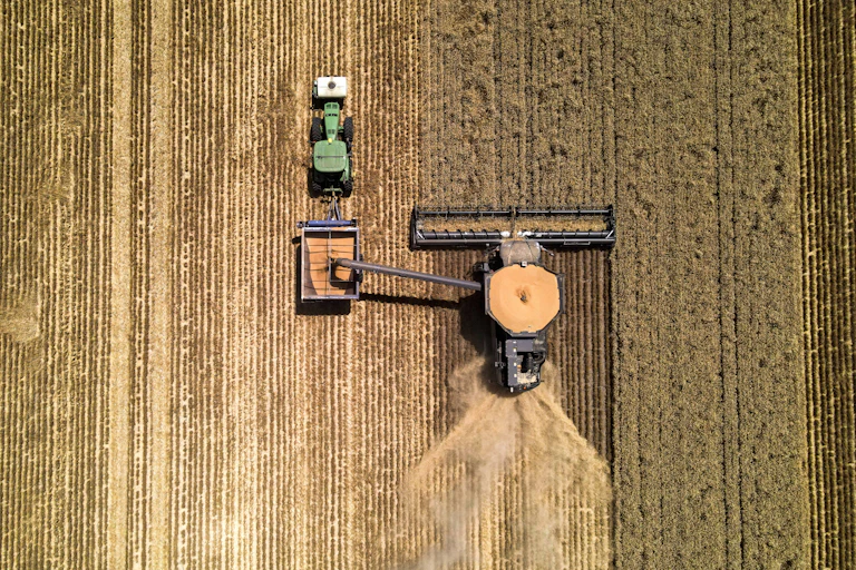 Aerial photo of a wheat harvest.