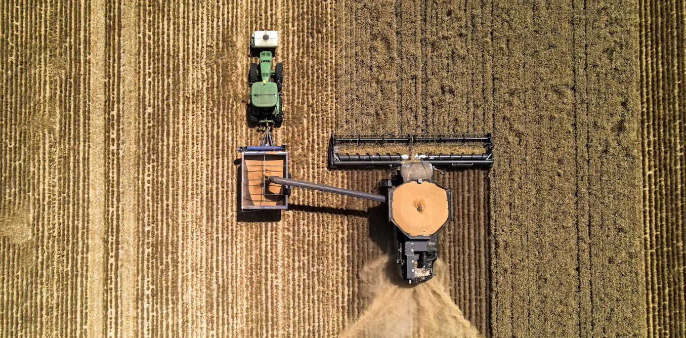 ‘Shit in, shit out’: AI is coming for agriculture, but farmers aren’t convinced