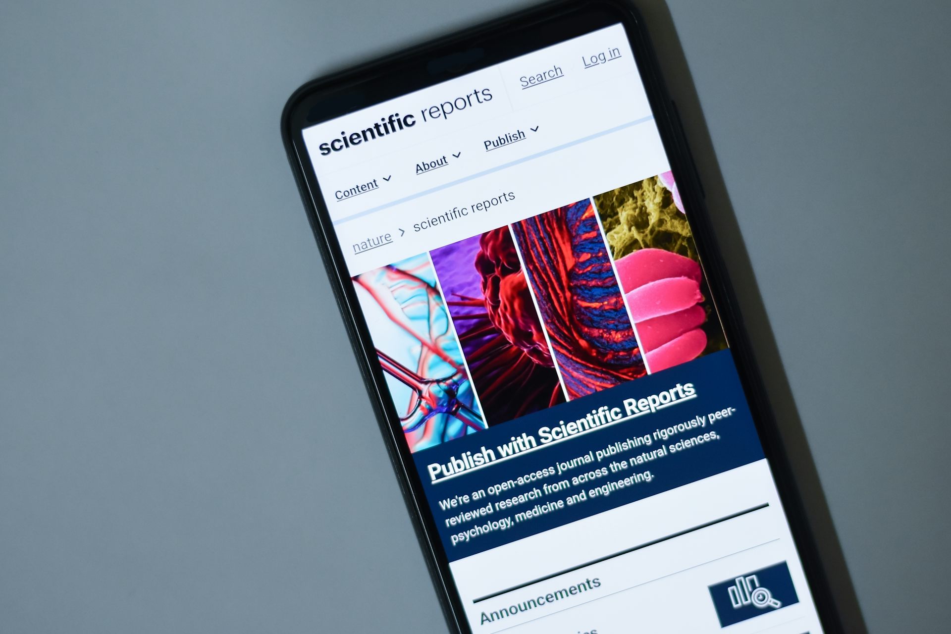 jurnal, jurnal ilmiah, publikasi