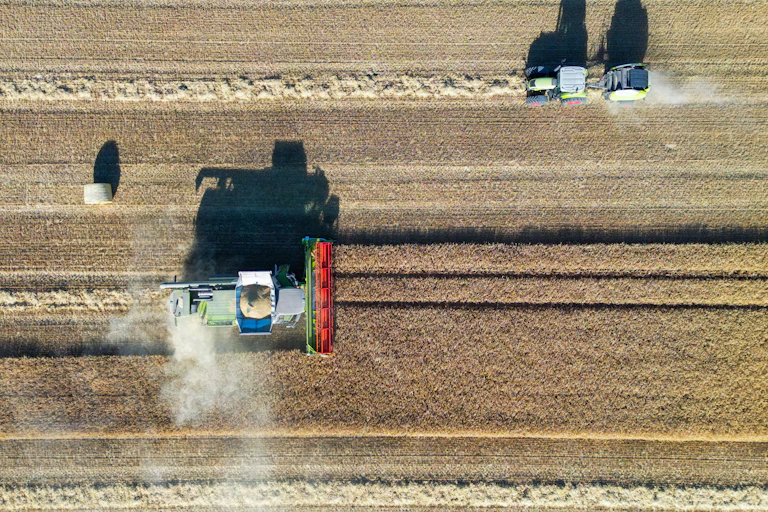 grain harvester gets harvest.