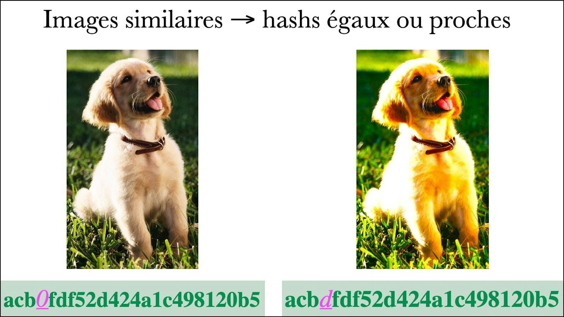 file 20250701 56 g2oimp.jpg?ixlib=rb 4.1