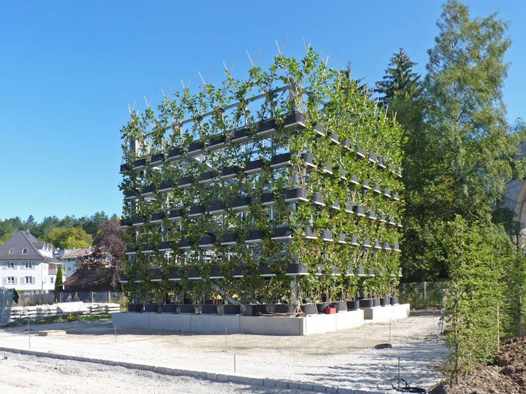 A square-framed building composed of a metal lattice and growing plants.