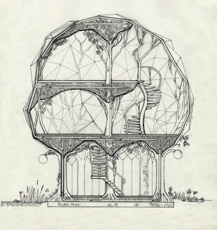 An artist's sketch of a house built around the main body of a tree.