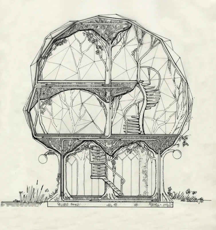 An artist's sketch of a house built around the main body of a tree.