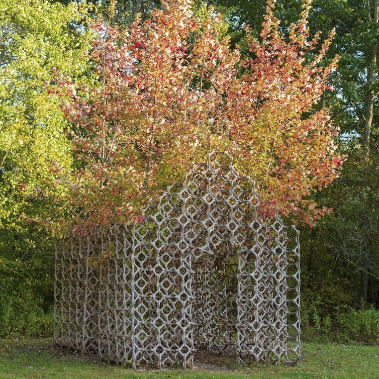A shed-like building composed of a lattice and trees.