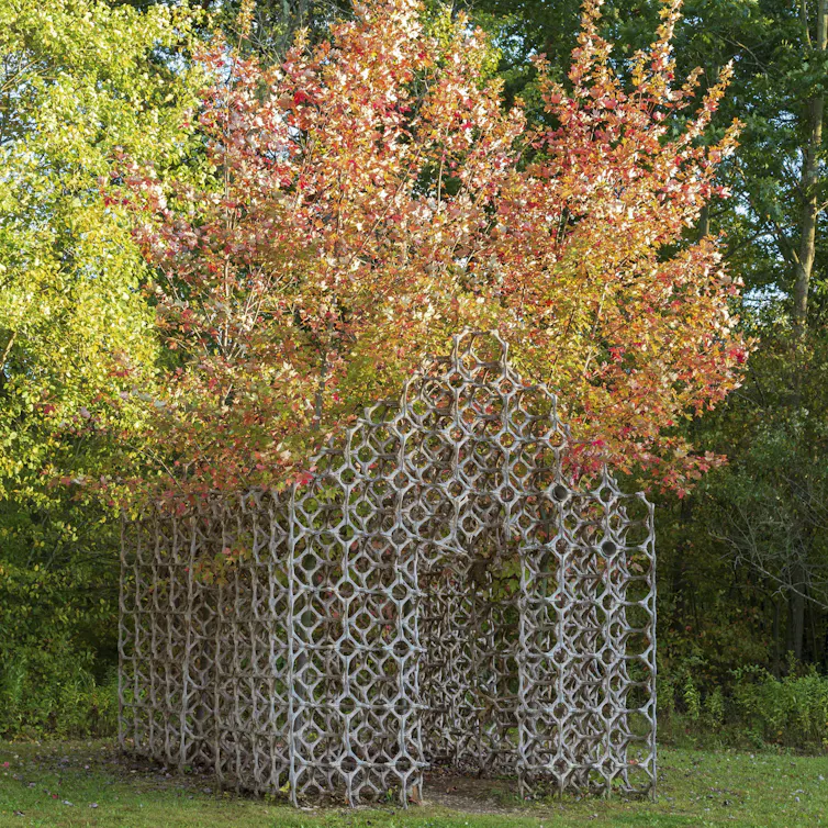A shed-like building composed of a lattice and trees.