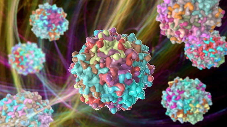 A digital illustration of the AAV virus, used in gene therapy.